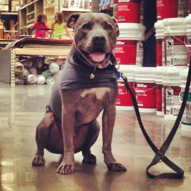 Remy-Home-Depot